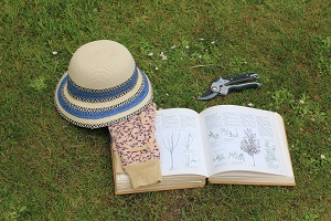 Photo of secateurs, pruning manual, sunhat and gloves, lying on the grass. Photo of secateurs, pruning manual, sunhat and gloves, lying on the grass.